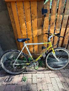 FREE Adult Bike
