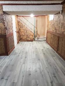 Basement for Rent in Maples - Photo 3