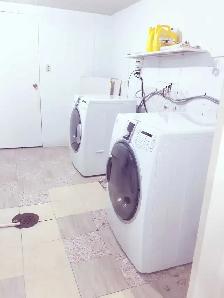 Basement for Rent in Maples - Photo 9