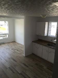 3 1/2 a louer rue Laliberté - Photo 3