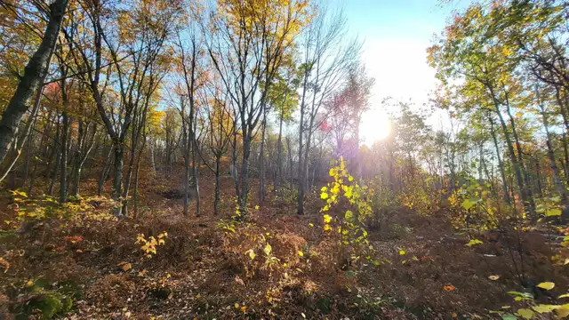 Vacant Land for Sale Val Caron (2.6 Acres)