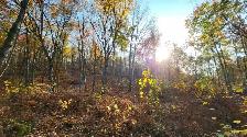 Vacant Land for Sale Val Caron (2.6 Acres)