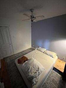 7.5 Apartment for Lease Transfer (lots of light   solarium) - Photo 6