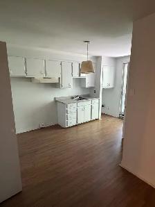 4 1/2 à louer Laval Metro Carter