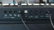 Studio Logic SL-88 Grand Studio Keyboard Controller - Photo 3
