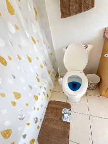 Student Room Rental with PRIVATE BATHROOM at York University - Photo 8