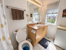 Student Room Rental with PRIVATE BATHROOM at York University - Photo 9
