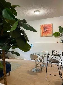 Libre,  Sept ou Oct, grand 4 1/2, secteur Hull, 1395$/mois - Photo 3