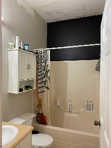 Libre,  Sept ou Oct, grand 4 1/2, secteur Hull, 1395$/mois - Photo 7
