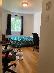 Libre,  Sept ou Oct, grand 4 1/2, secteur Hull, 1395$/mois - Photo 9