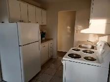 Spacious 2 Bedroom in Riverside – Clean, Quiet Building - Photo 5