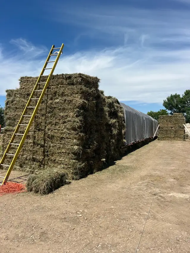 Hay for sale