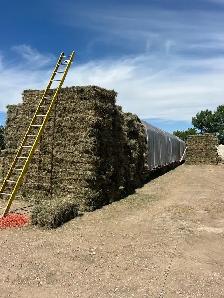 Hay for sale