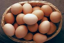 Farm Fresh Eggs