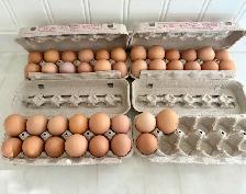 Farm Fresh Eggs - Photo 2
