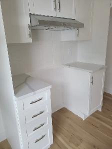 Appartement à Louer 4 1/2 LACHINE Apartment for rent - Photo 4