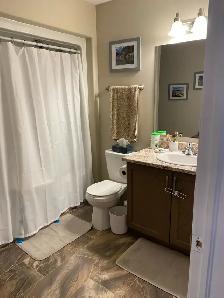 ALL INCLUSIVE 3 Bedroom House Availabe November 1, 2026 - Photo 7