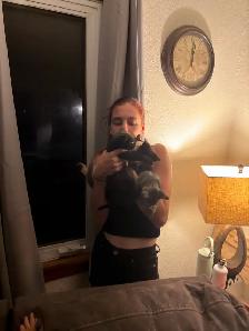 two adult female cats and kittens for free - Photo 3