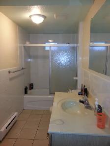 Fully Furnished  1 Bedroom near Fraser St. & 41st Ave,Vancouver - Photo 4