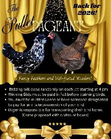 Wild Rose Classic Poultry Show Sept 26 - Photo 2