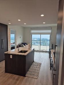 Downtown Luxury Apartment for Rent