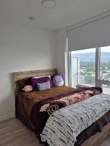 Downtown Luxury Apartment for Rent - Photo 3