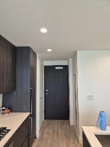 Downtown Luxury Apartment for Rent - Photo 11