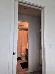 Downtown Luxury Apartment for Rent - Photo 13