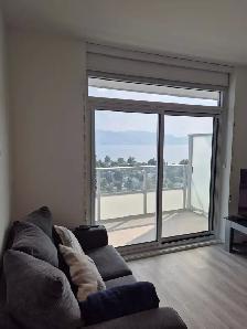Downtown Luxury Apartment for Rent - Photo 17