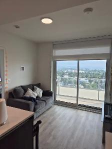 Downtown Luxury Apartment for Rent - Photo 18