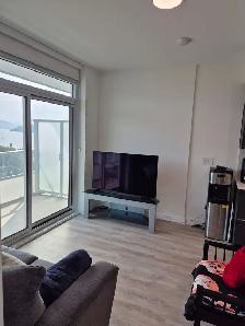 Downtown Luxury Apartment for Rent - Photo 20