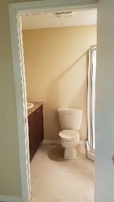 BASEMENT APARTMENT FOR RENT , BRAMPTON - Photo 4