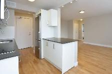 Renovated One Bedroom, Tyndall Ave and King St - ID 119 - Photo 4