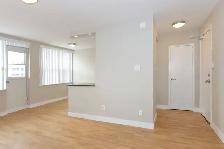 Renovated One Bedroom, Tyndall Ave and King St - ID 119 - Photo 5