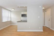 Renovated One Bedroom, Tyndall Ave and King St - ID 119 - Photo 6