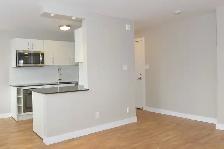 Renovated One Bedroom, Tyndall Ave and King St - ID 119 - Photo 7