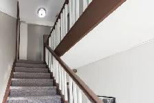 Renovated one bedroom, Roncesvalles and Queensway - ID 4561 - Photo 5