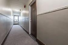 Renovated one bedroom, Roncesvalles and Queensway - ID 4561 - Photo 6