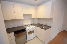 Renovated One Bedroom, College and Spadina - ID 1915 - Photo 3
