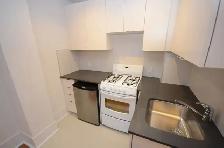 Renovated One Bedroom, College and Spadina - ID 1915 - Photo 4