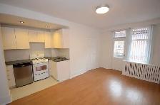 Renovated One Bedroom, College and Spadina - ID 1915 - Photo 5