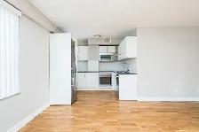 Renovated bachelor, Tyndall Ave and King St - ID 178 - Photo 4