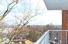 Renovated bachelor, Tyndall Ave and King St - ID 178 - Photo 9