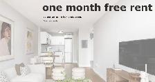 Renovated Bachelor, Queen and Bathurst - ID 3839