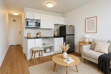 Renovated Bachelor, Queen and Bathurst - ID 3839 - Photo 2