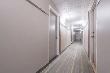 Renovated Bachelor, Queen and Bathurst - ID 3839 - Photo 4