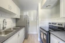 3 Bedroom Apartment for Rent - 86-99 Silver Springs Blvd - Photo 2
