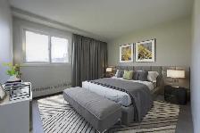 3 Bedroom Apartment for Rent - 86-99 Silver Springs Blvd - Photo 4