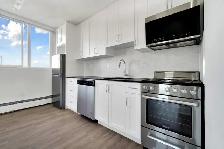 Studio Apartment for Rent - 1454 Pendrell Street - Photo 11