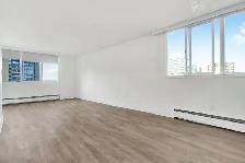 Studio Apartment for Rent - 1454 Pendrell Street - Photo 12